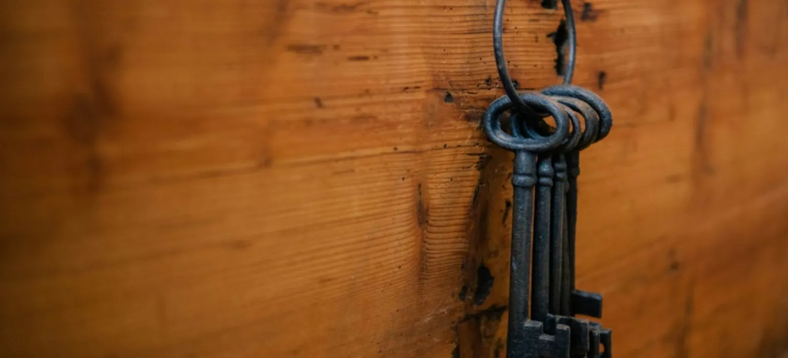 Black skeleton keys