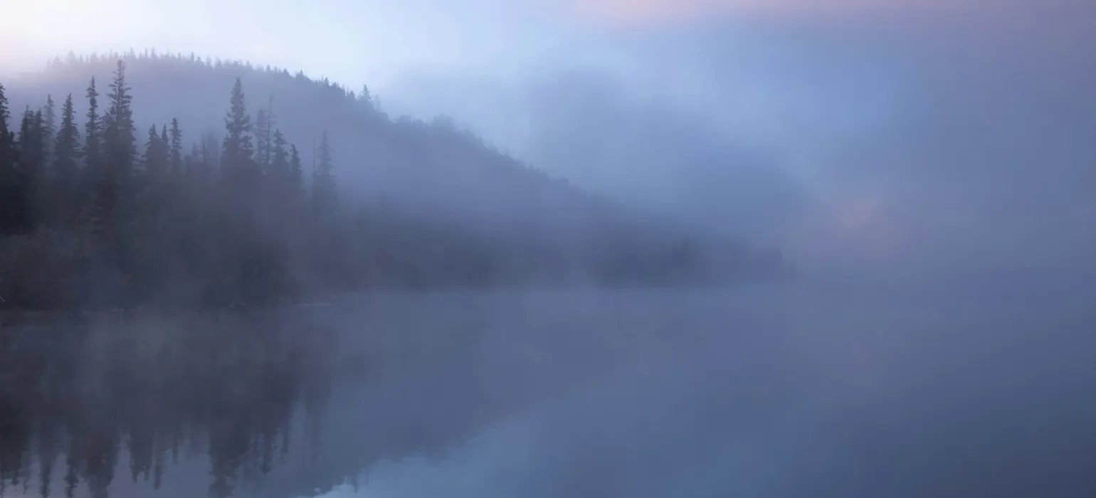 A foggy lake with trees on the shore