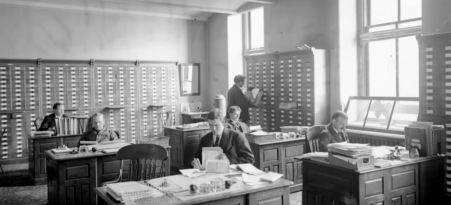 Five men working at wooden desks in a sunlit office with filing cabinets