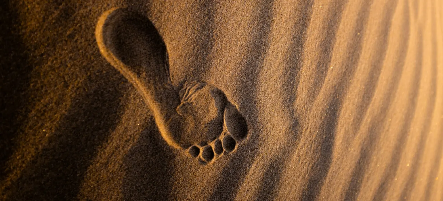 Single footprint in rippled desert sand