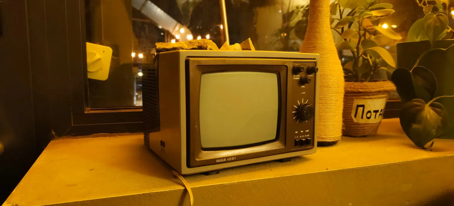 Retro television on a shelf with plants