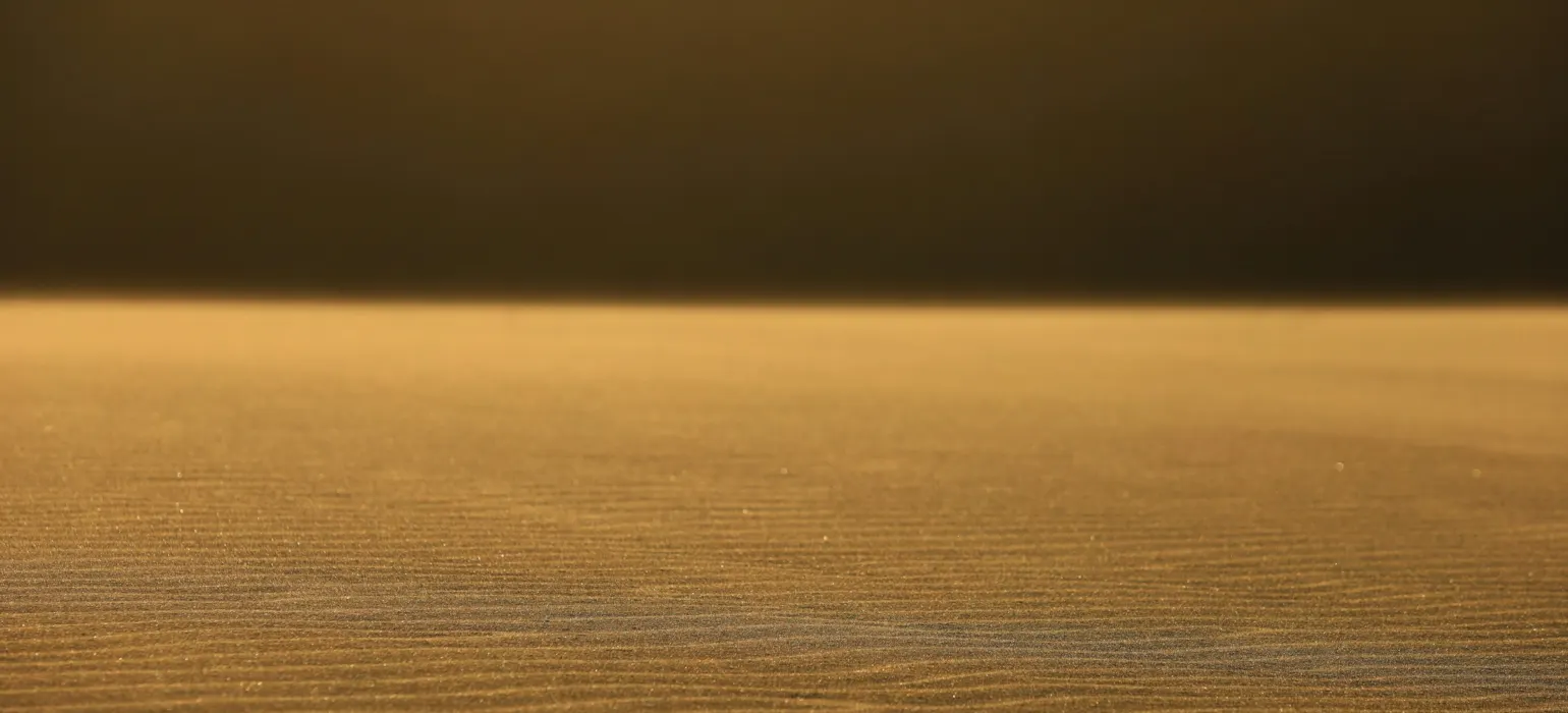 Golden sand dunes under a dark sky