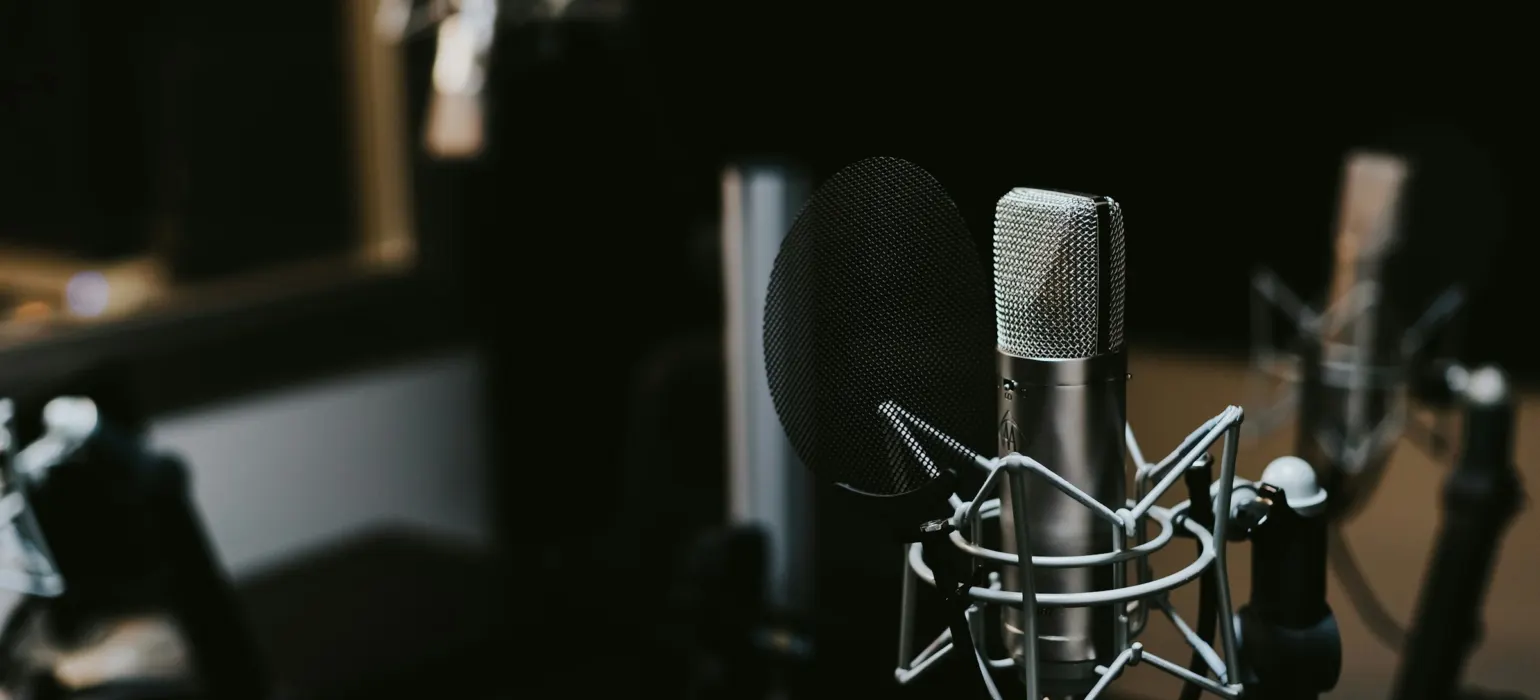 Macro photography of silver and black studio microphone condenser