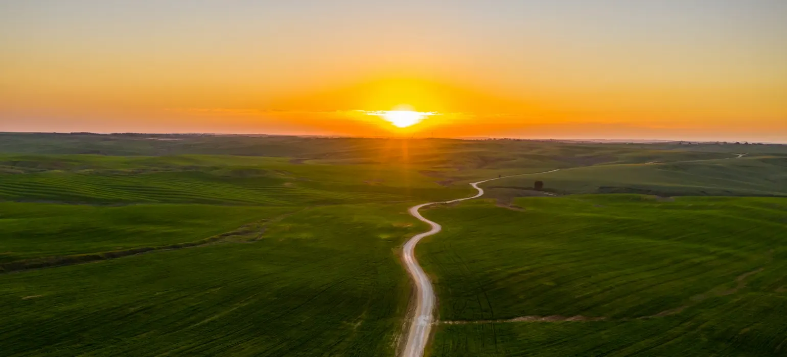 Road winding through green fields toward a sunrise