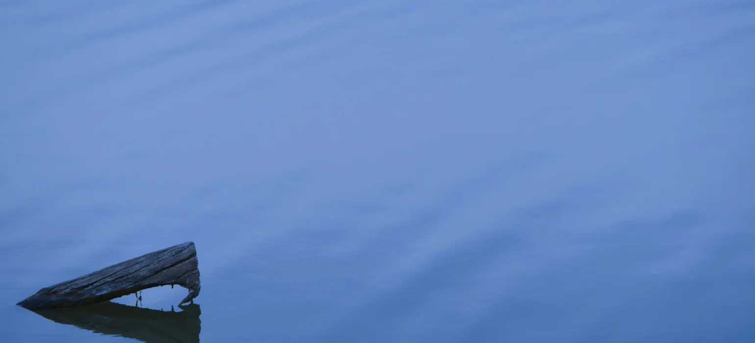 A piece of wood floating on calm blue water