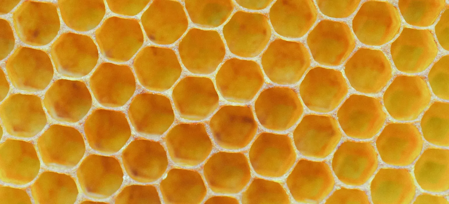 Brown and white square pattern