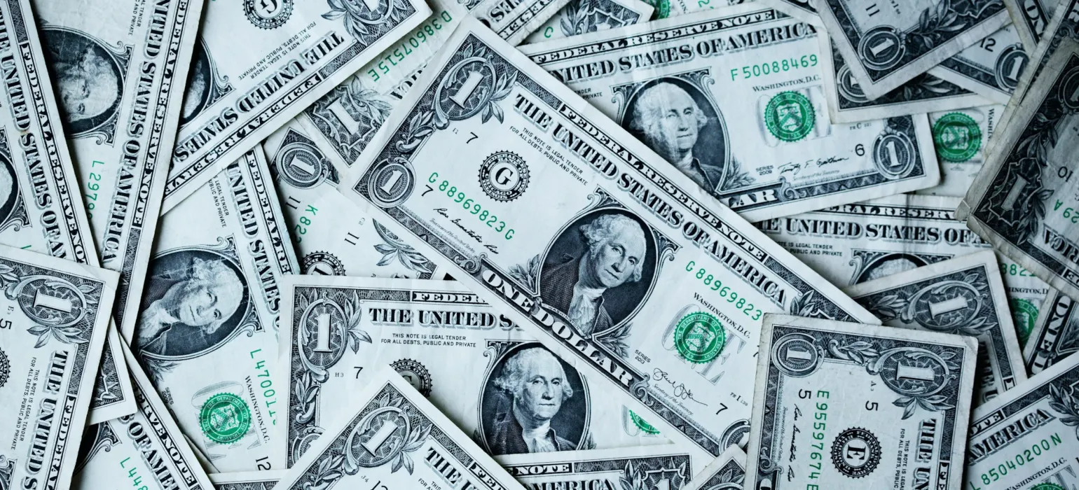 Pile of US dollar bills